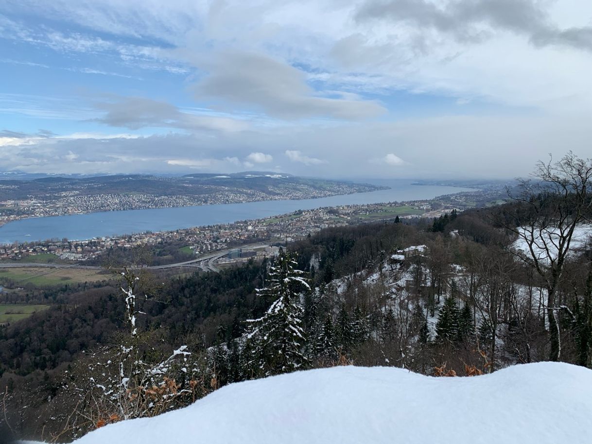 Place Uetliberg Aussichtsturm