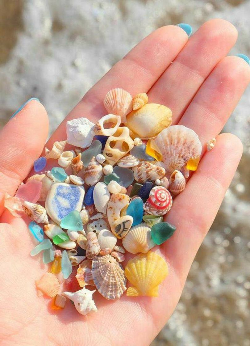 Shells