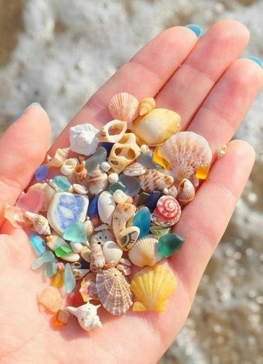 Shells