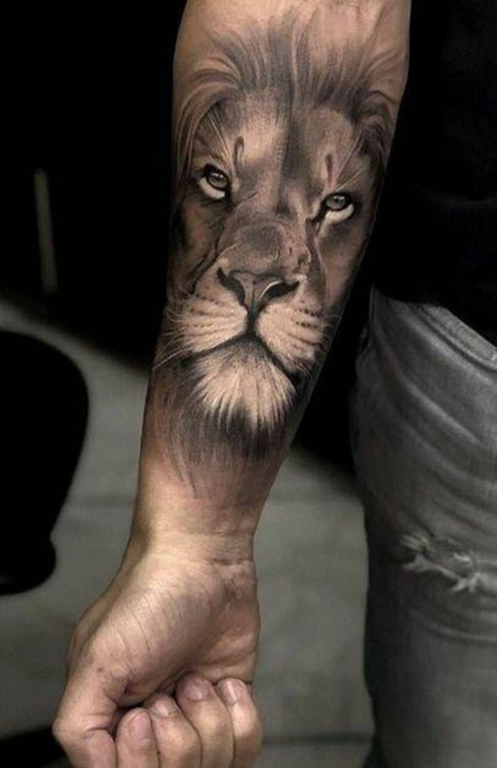 Moda Tatto 