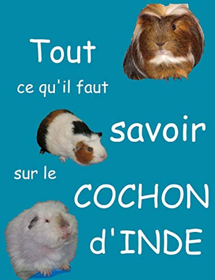 Book Tout ce qu'il faut savoir sur le cochon d'inde