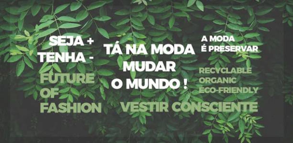 Moda Moda Sustentável