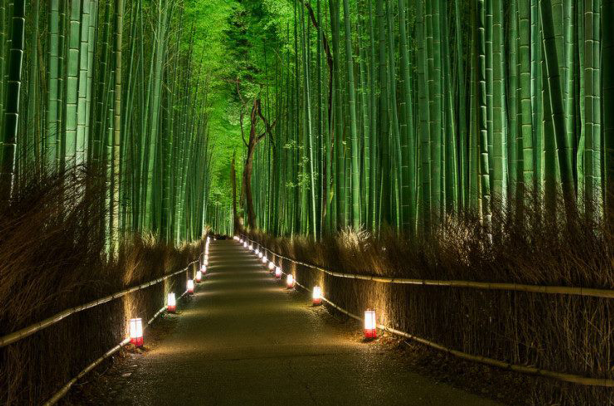 Place Bosque de bambú Kameyama