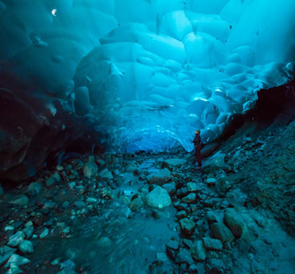 Place Mendenhall Glacier