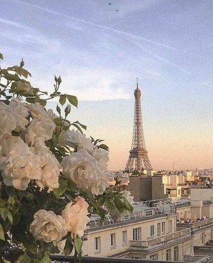 Paris 🗼