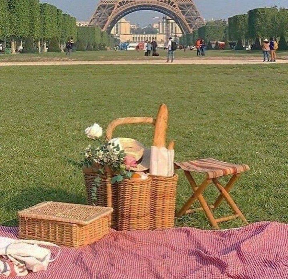 Moda picnick + Eiffel tower 🗼