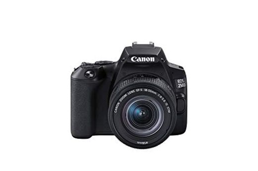Canon EOS 250D Cuerpo