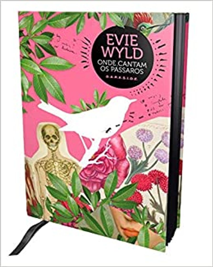 Book Onde Cantam os Pássaros: Desvende o mistério