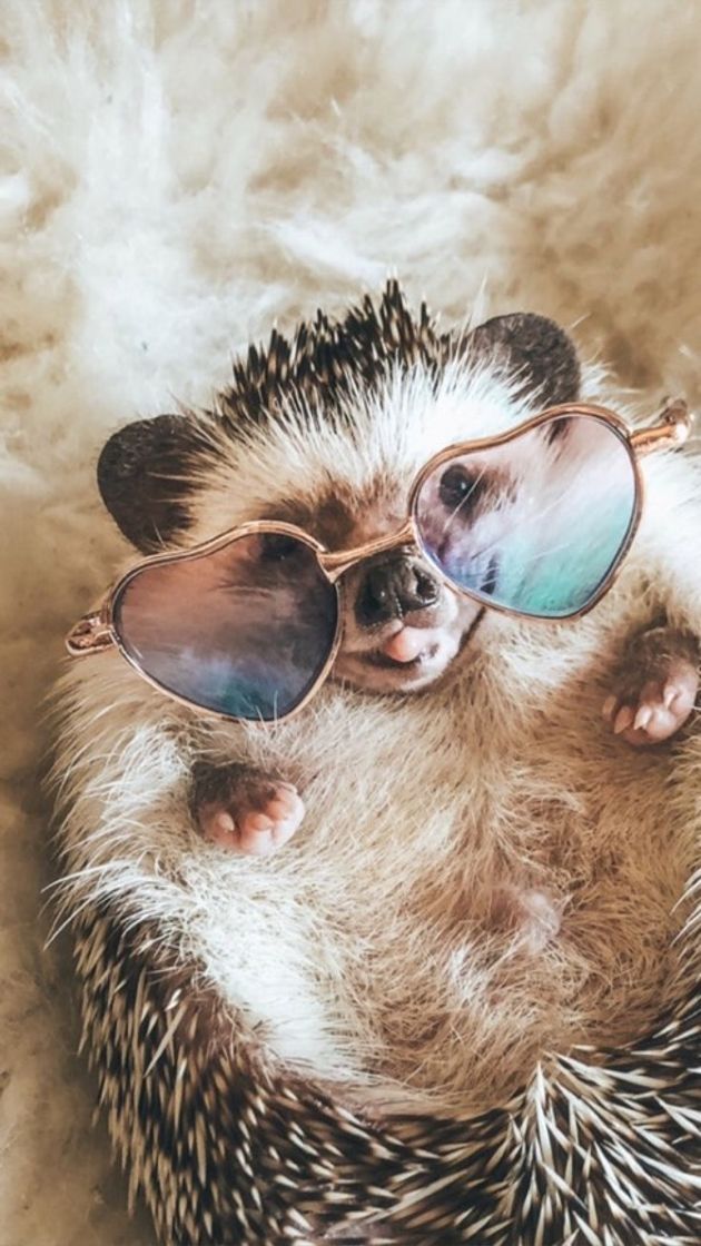 Fashion 🦔🥺