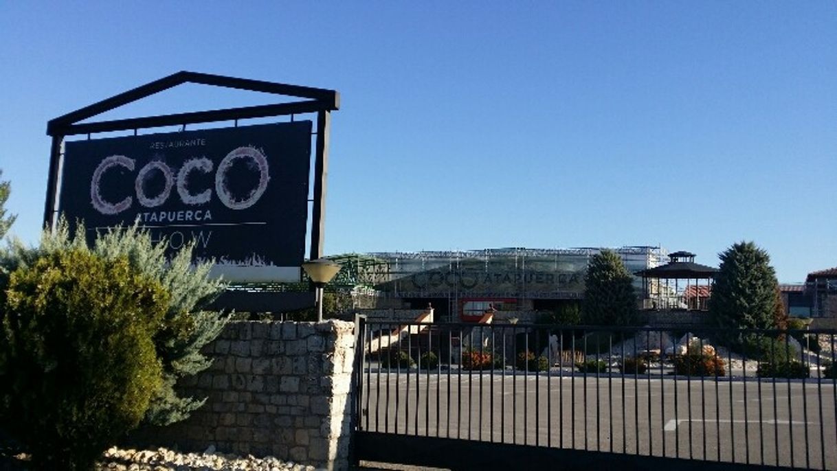 Coco Atapuerca