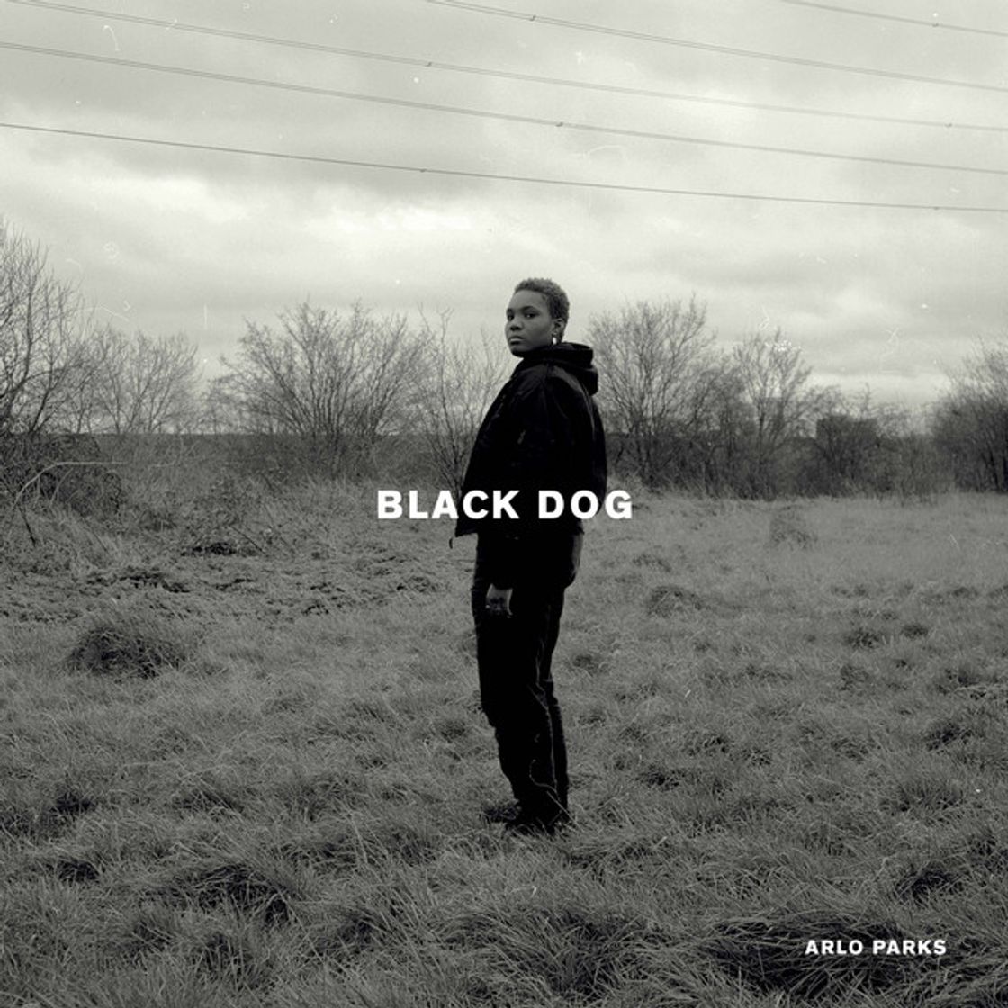 Music Black Dog