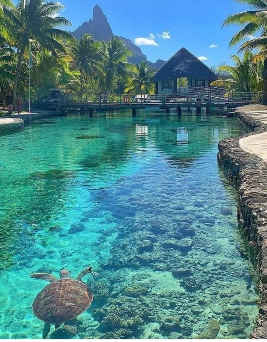 Lugar Bora-Bora