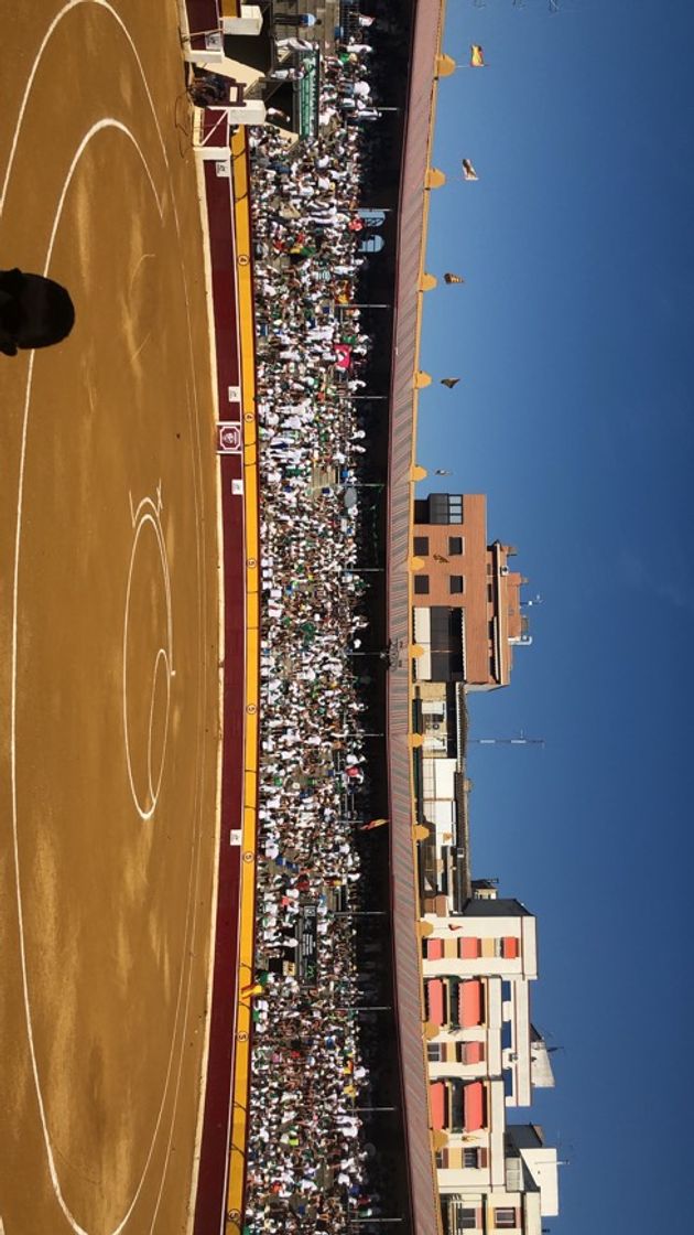 Lugar PLAZA DE TOROS