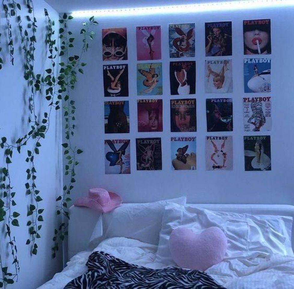 Social quarto aesthetic