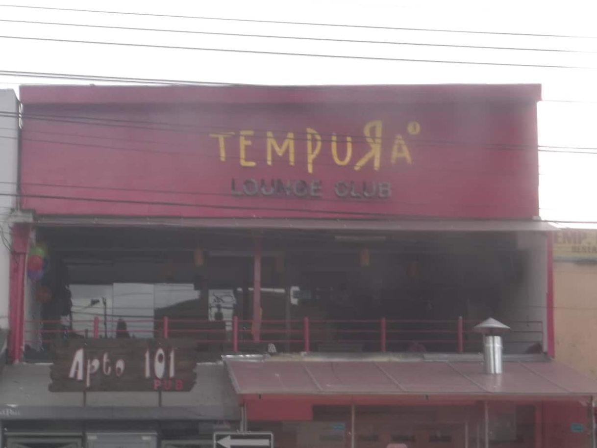 Restaurantes tempura lounge club