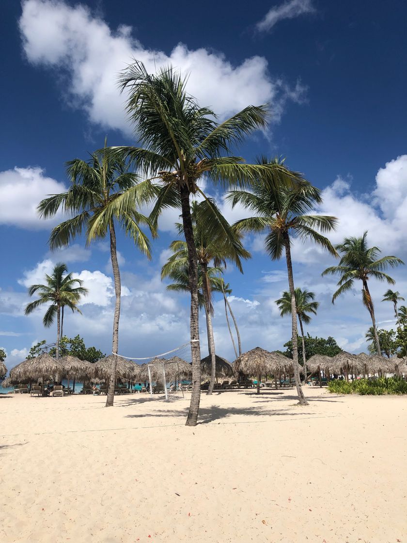 Lugar Iberostar Hacienda Dominicus