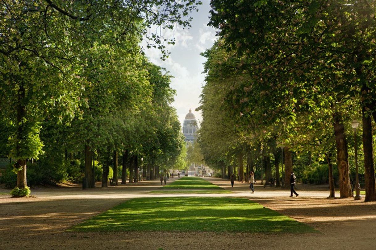 Place Parque de Bruselas