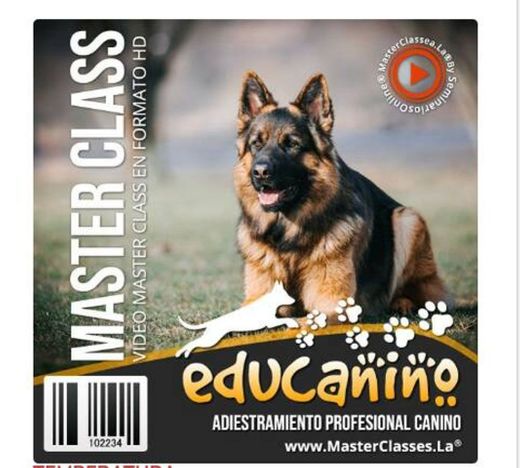 Educanino educa a tu perro