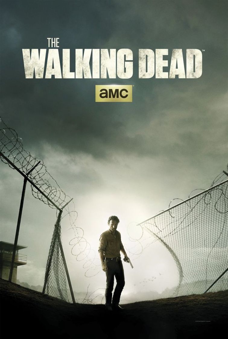 Serie the walking dead 