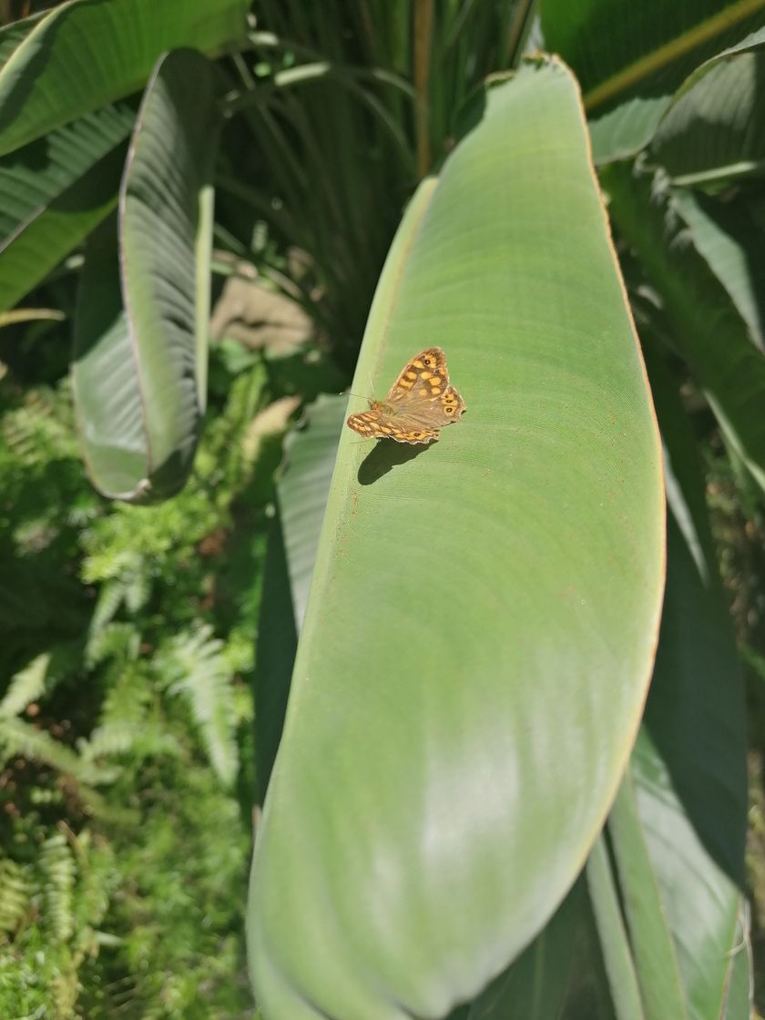 Lugar Estufa Fria