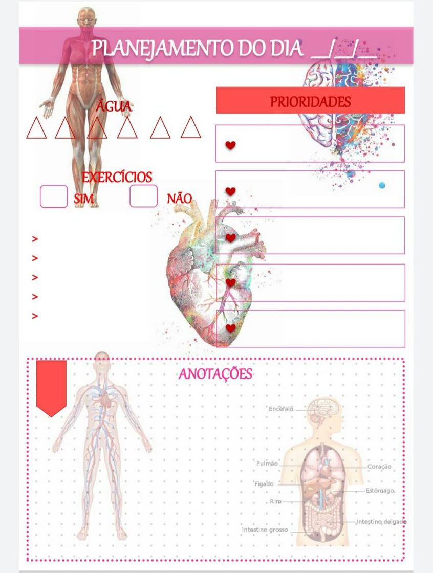 Moda Planner diário anatomia 