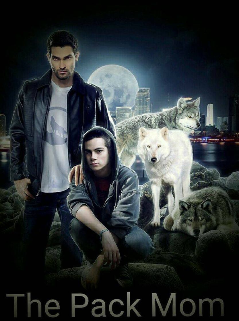 Moda Sterek