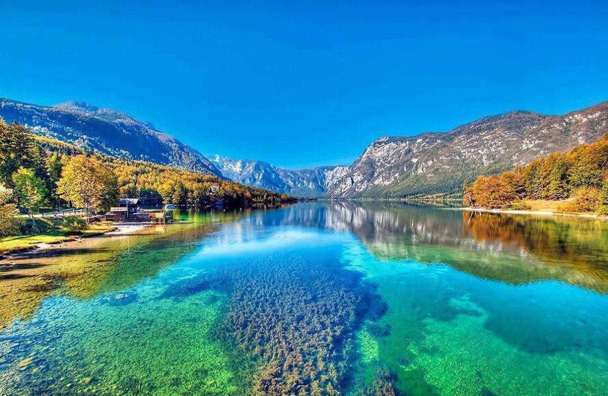 Place Bohinj