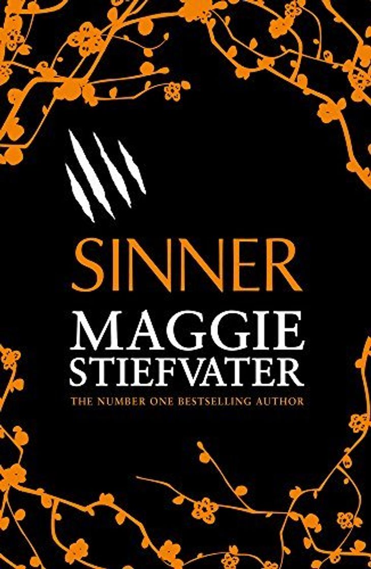 Book Sinner by Maggie Stiefvater