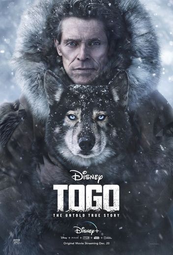 Watch Togo | Full Movie | Disney+