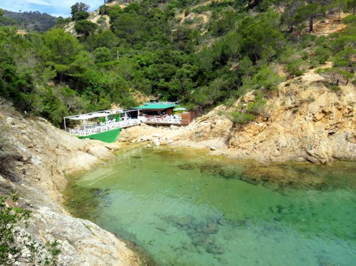 Restaurantes Cala Bona Tossa