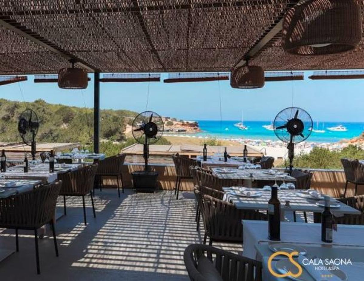 Place Hotel Cala Saona