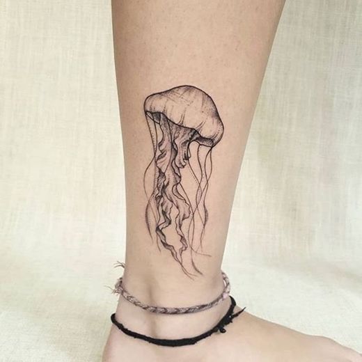 jellyfish