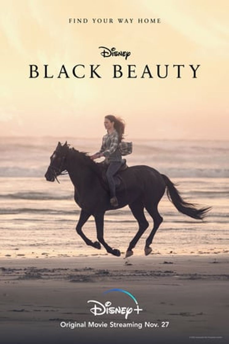 Película Black Beauty