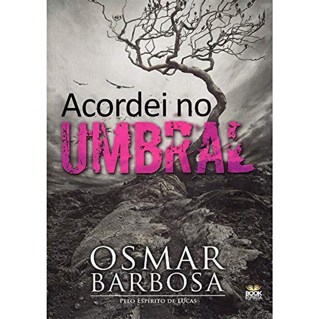 Libro Acordei no Umbral