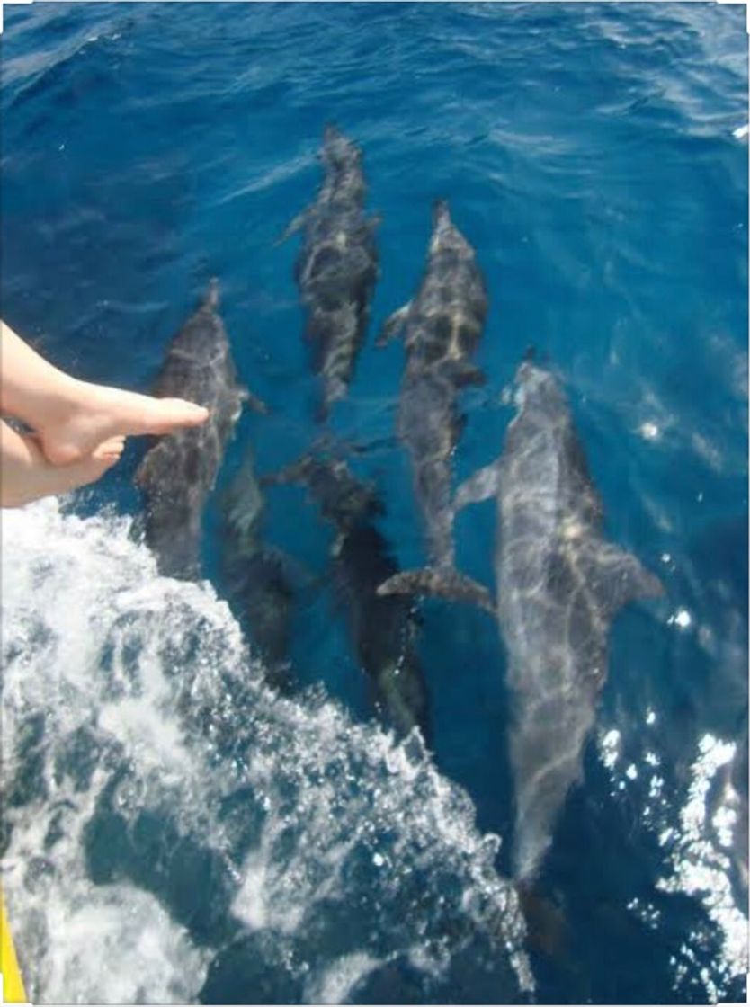 Lugar Fernando de Noronha