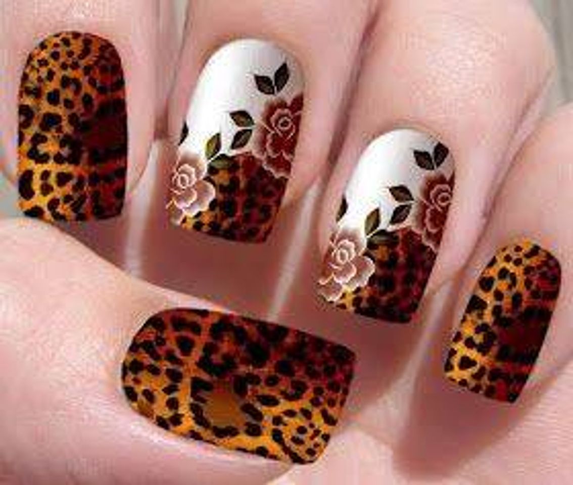 Fashion Animal print