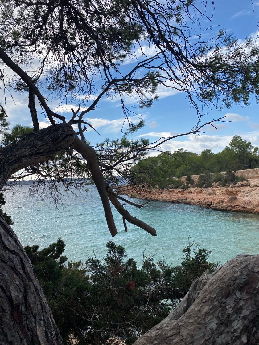 Place Cala Gracioneta