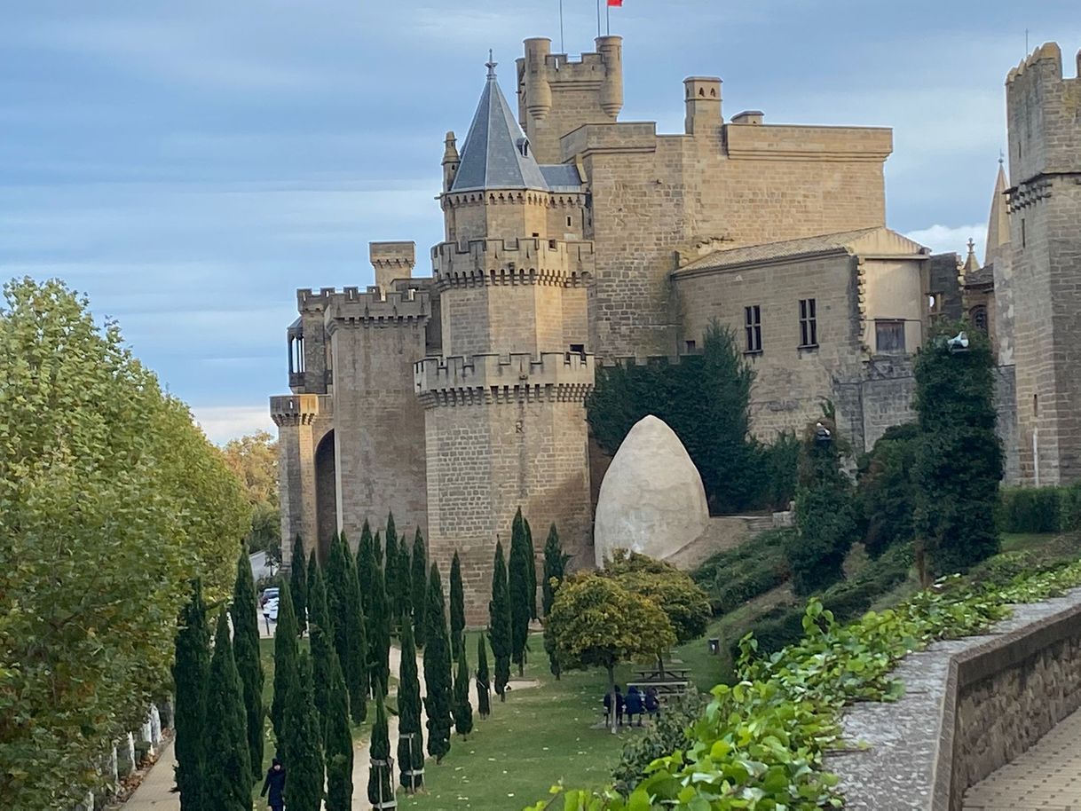 Lugar Palacio Real de Olite