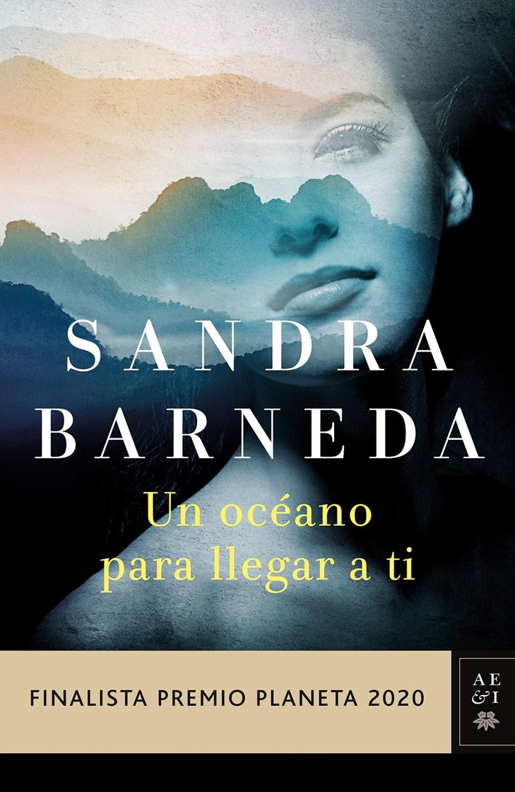 Book Un océano para llegar a ti - Sandra Barneda 