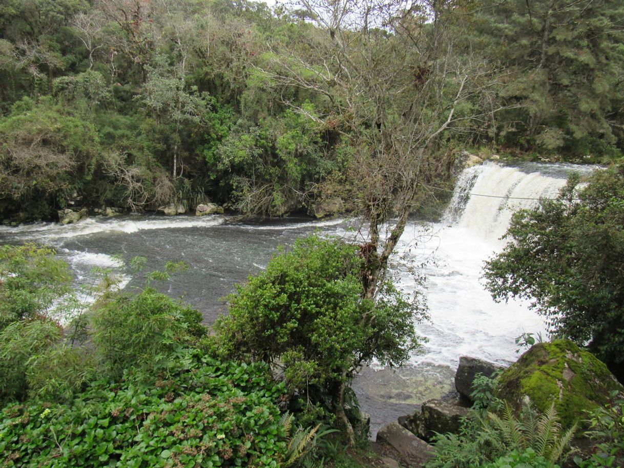 Place Rio dos Cedros