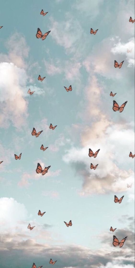 Moda Wallpaper aesthetic butterfly 