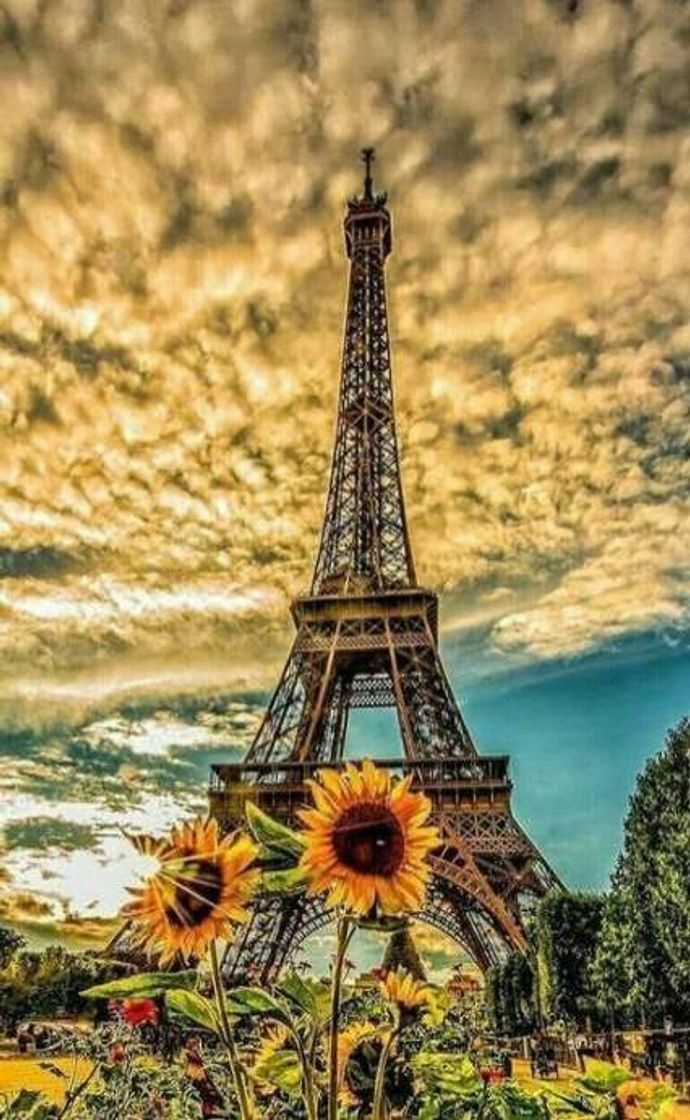 Fashion Paris 🌻