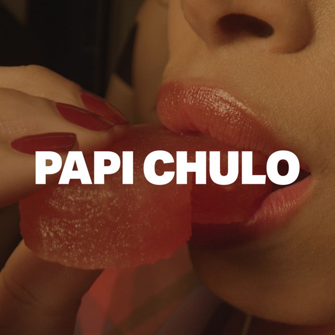 Canción Papi Chulo