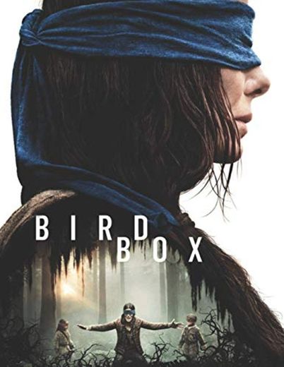 Bird Box: Screenplays