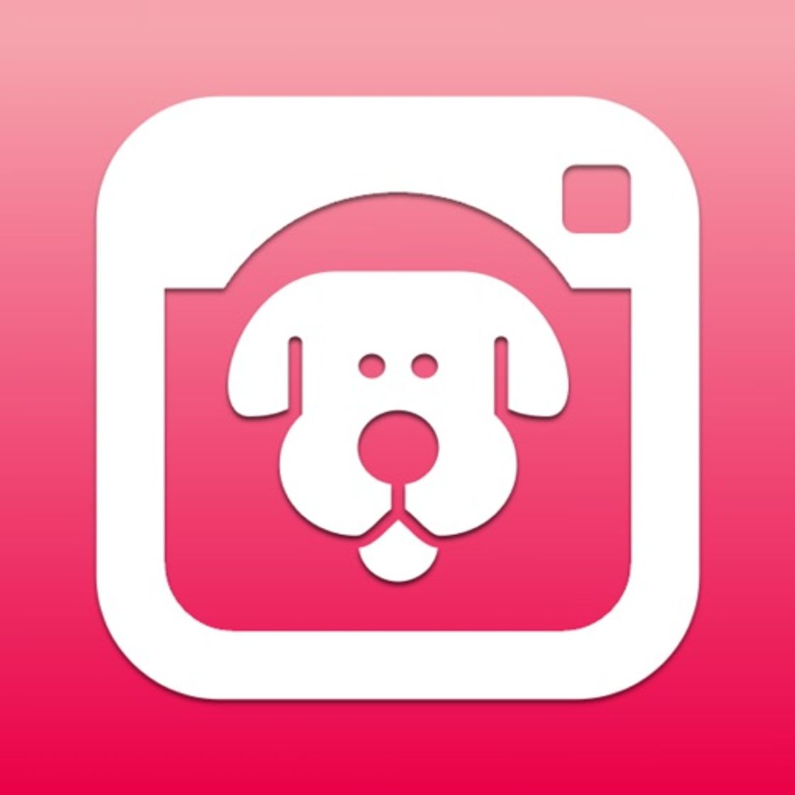 App DogCam - Dog Selfie Camera