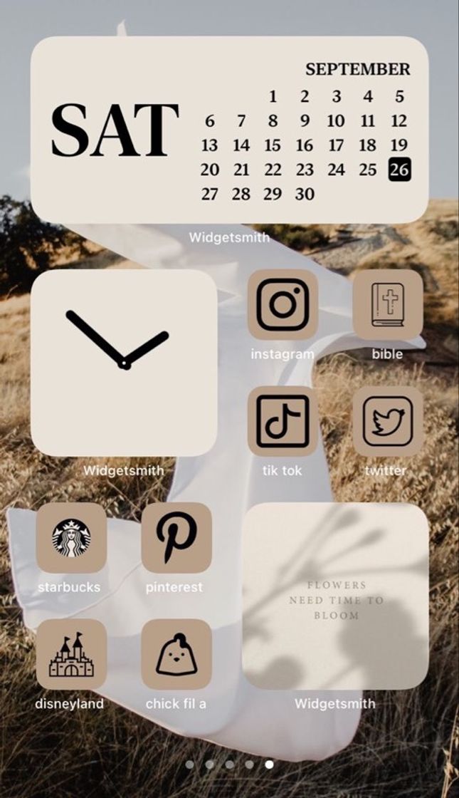 Social Tela inicial 📱