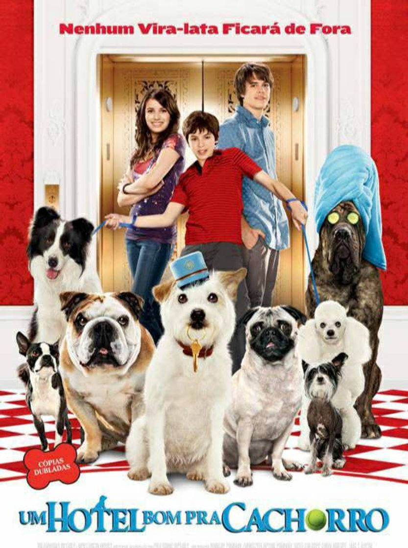 Película Filmes para crianças e você-> Um hotel bom para cachorro