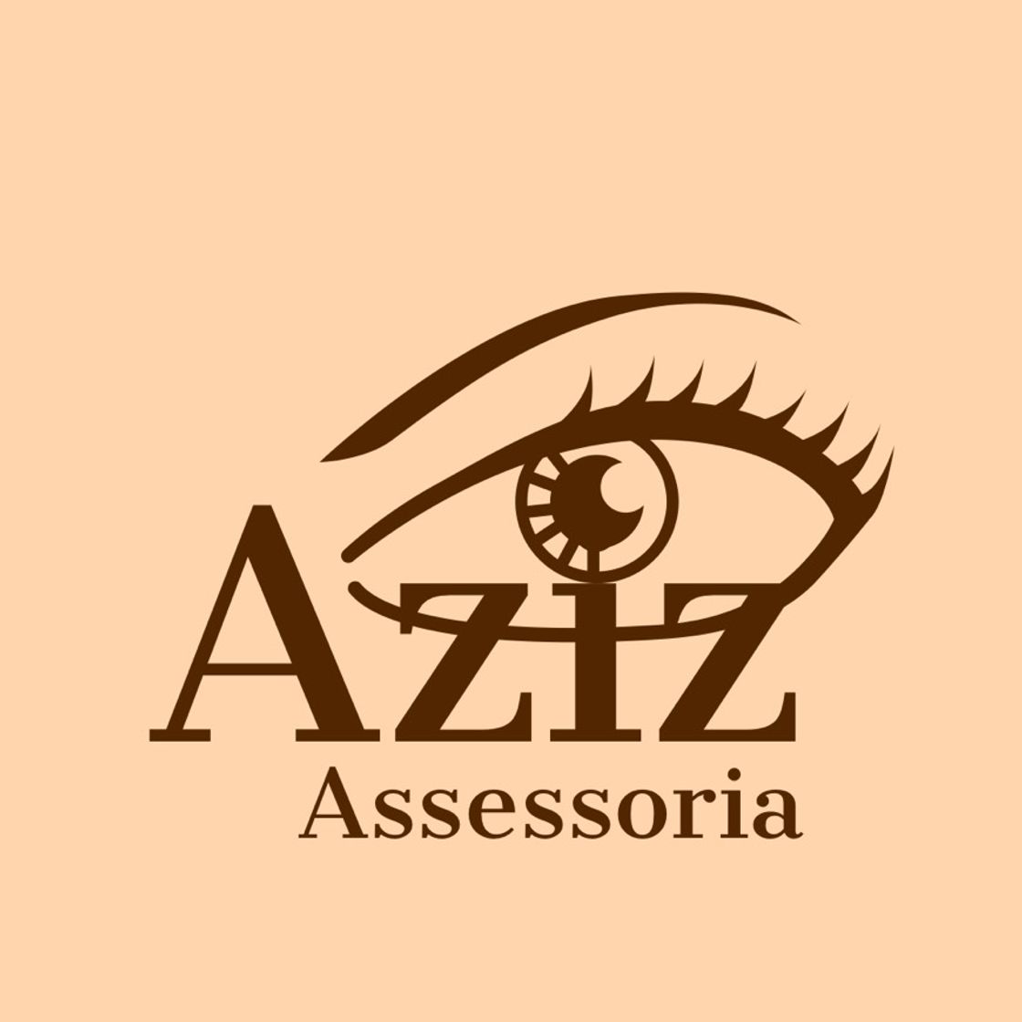 Fashion Nova Assessoria Aziz 