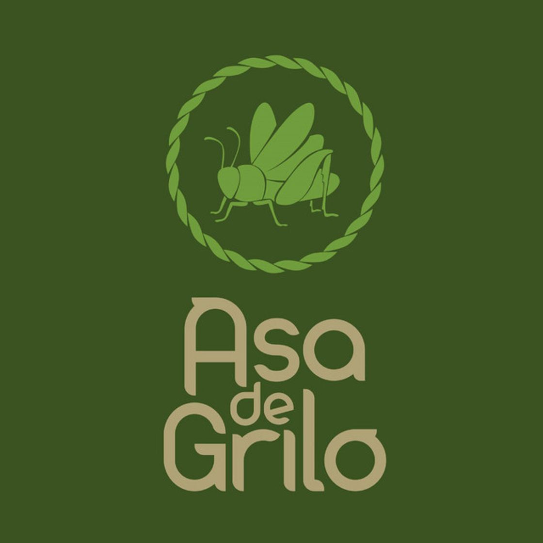 Music Fogo do Dragão