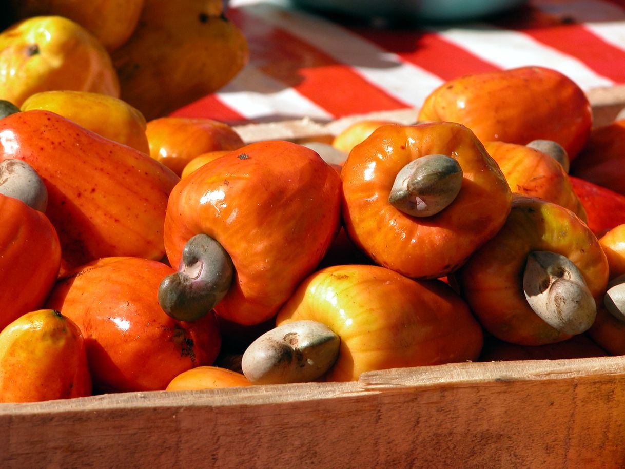 Moda Frutas que NÃO são Brasileiras 